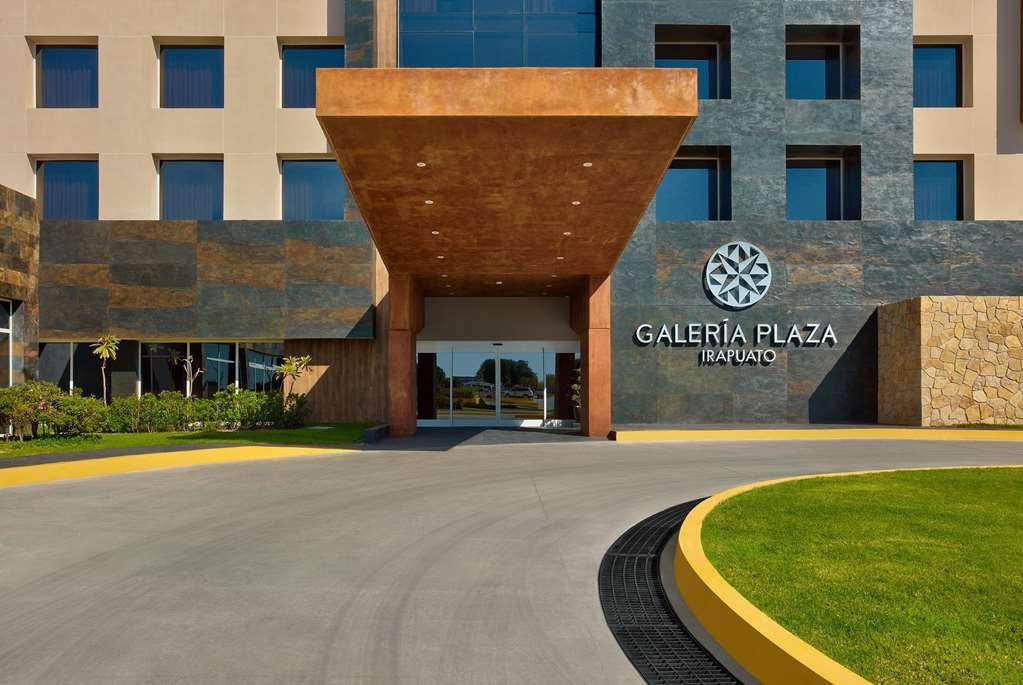 מלון Galeria Plaza איראפואטו לוגו תמונה